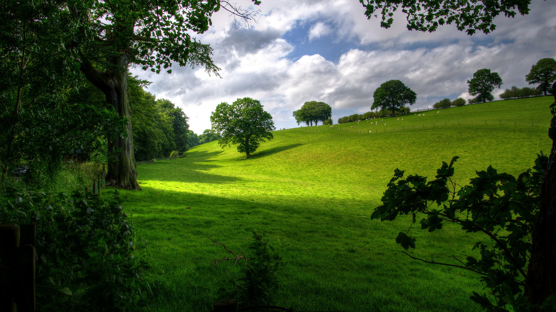 Plan to protect heritage sites
